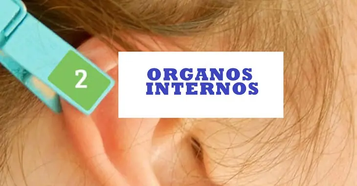 reflexologia