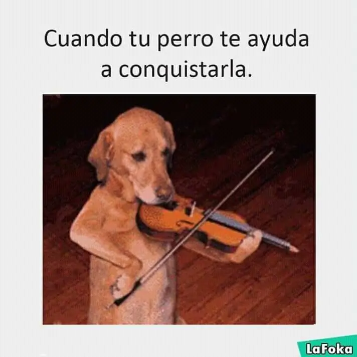 instrumentos