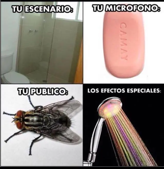 instrumentos musicales