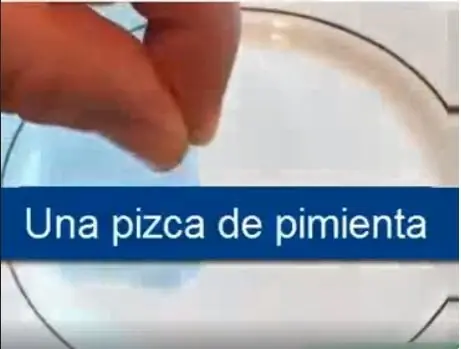 horno