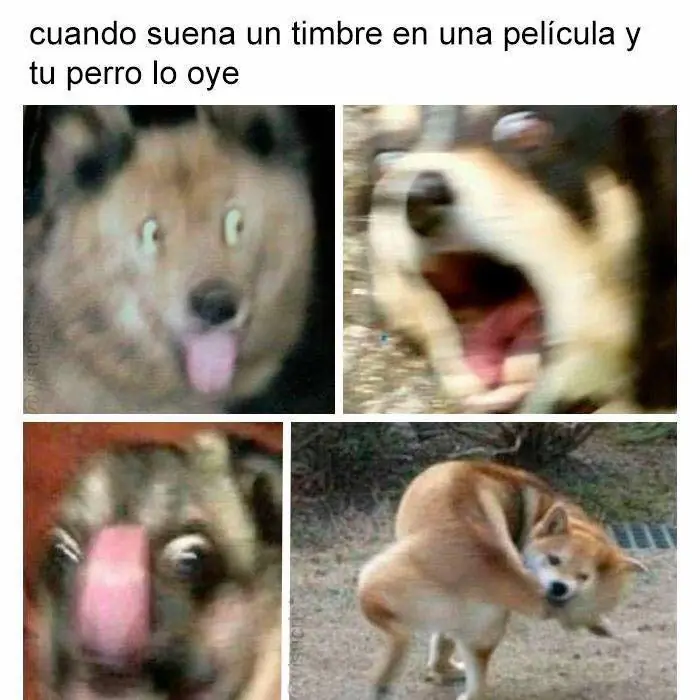 viral
