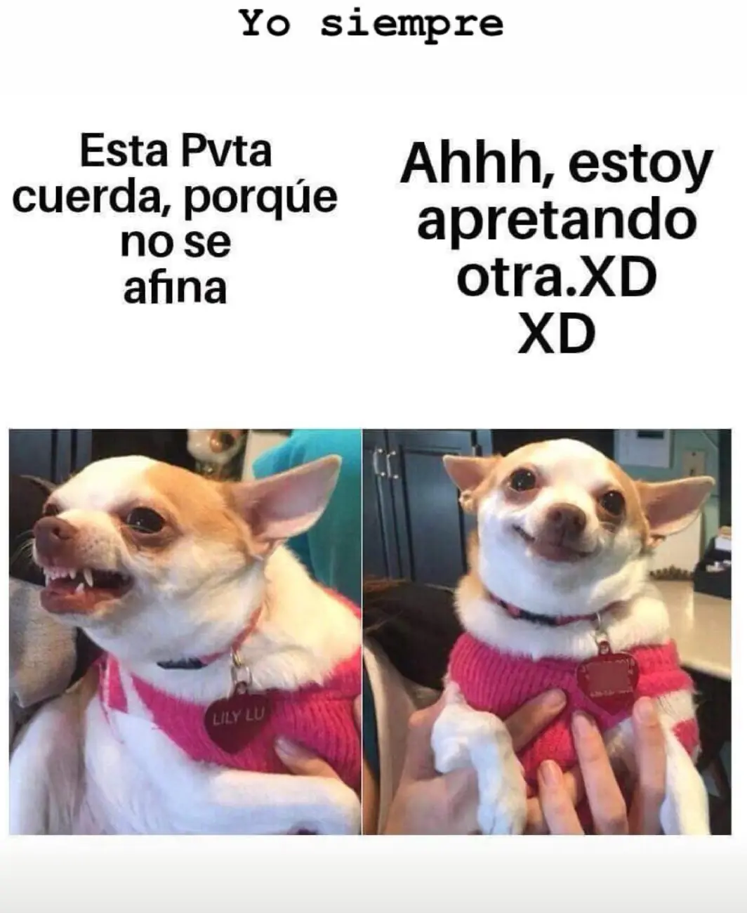 Megapost humor musical. Parte III