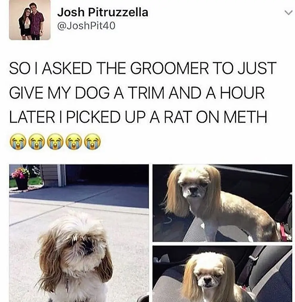 merecen