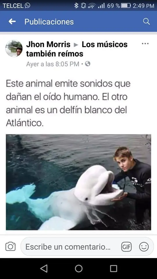 humor