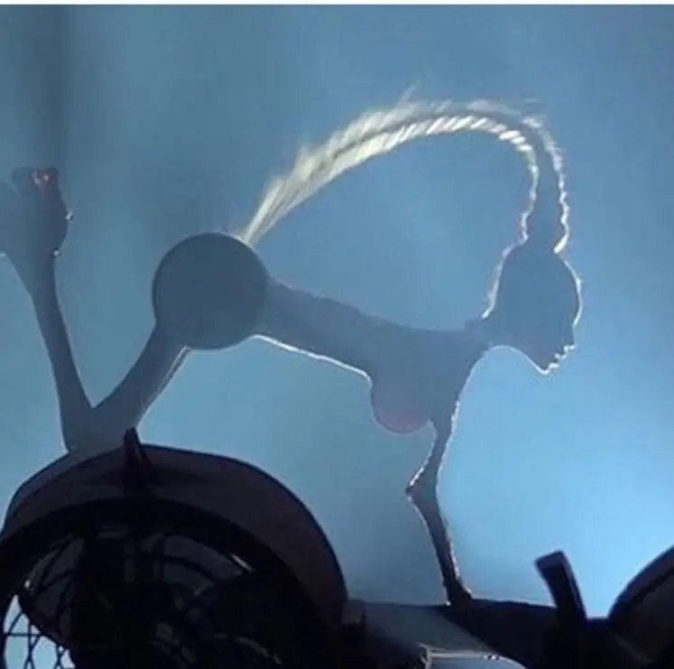 Taylor Swift el obscurisimo secreto