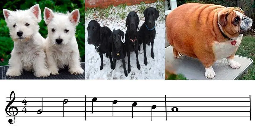 instrumentos