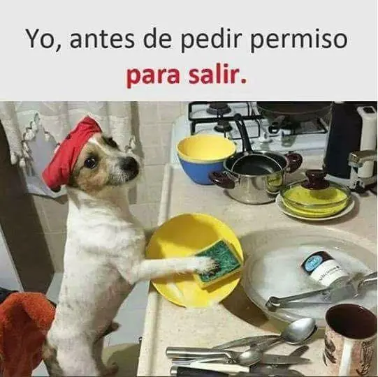 viral
