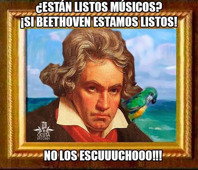 musicos