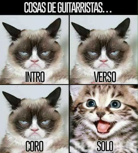 guitarra