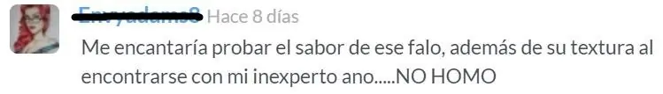 Compilado de comentarios "no homo"