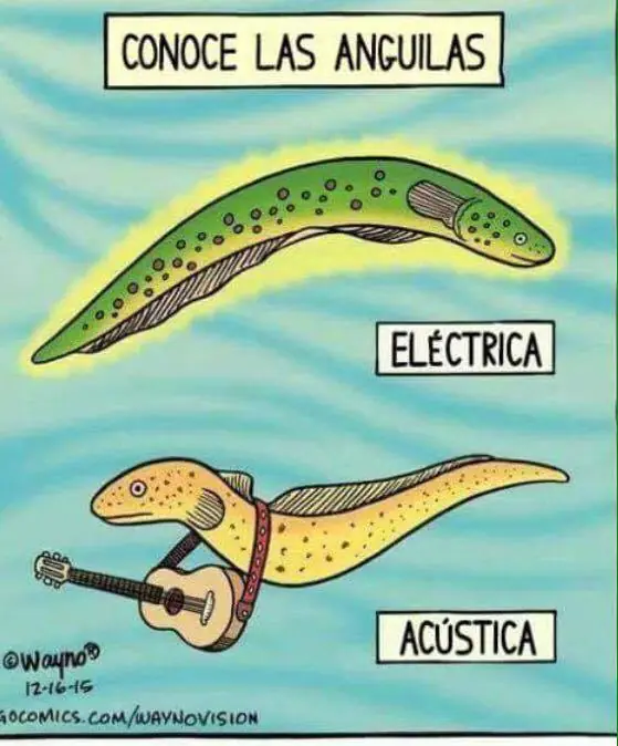 guitarra