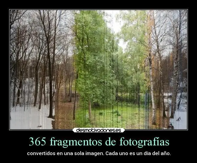 Memes e imagénes random para alegrar el miércoles 9