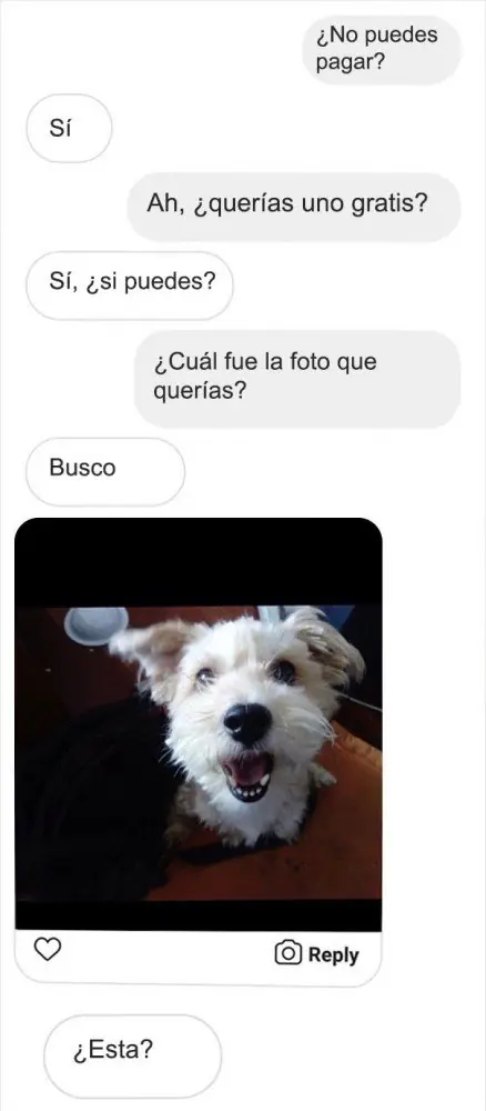 artista