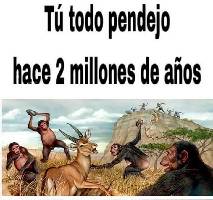 alv