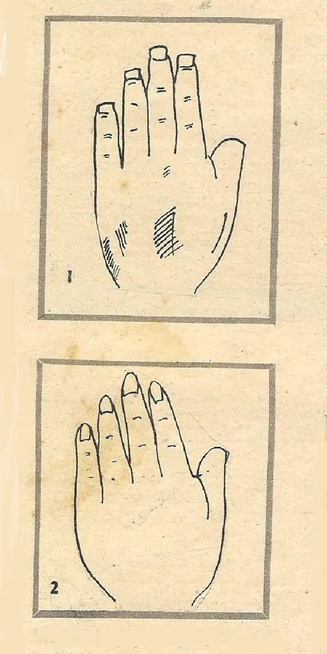 curiosos