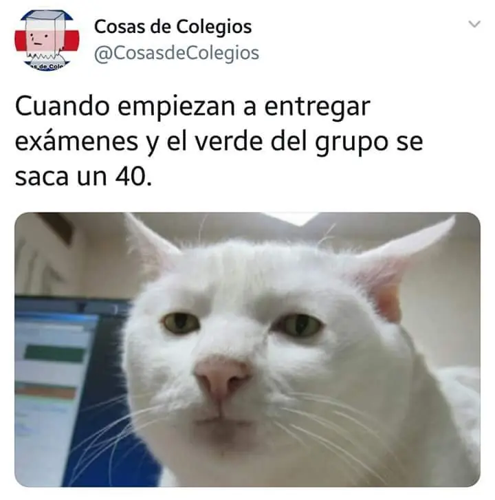 meme