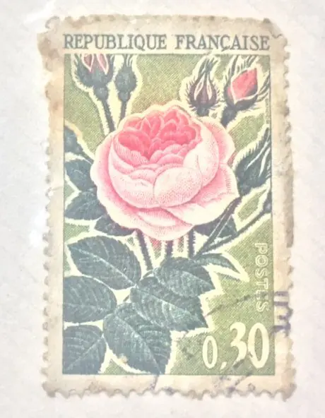 franco