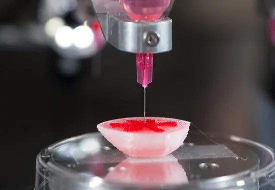 Trasplantan un pulmón creado por bioingeniería en un cerdo