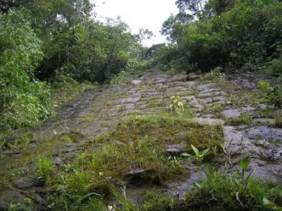 La ciudad perdida de los gigantes en la selva de Ecuador