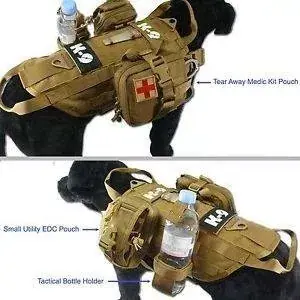 Perro