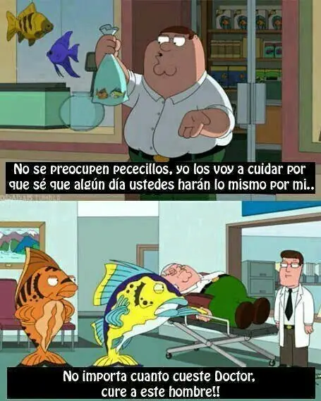 feliz