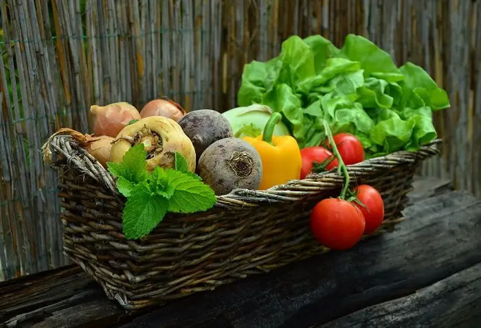 3 Deliciosas ensaladas que cuidan tu vista
