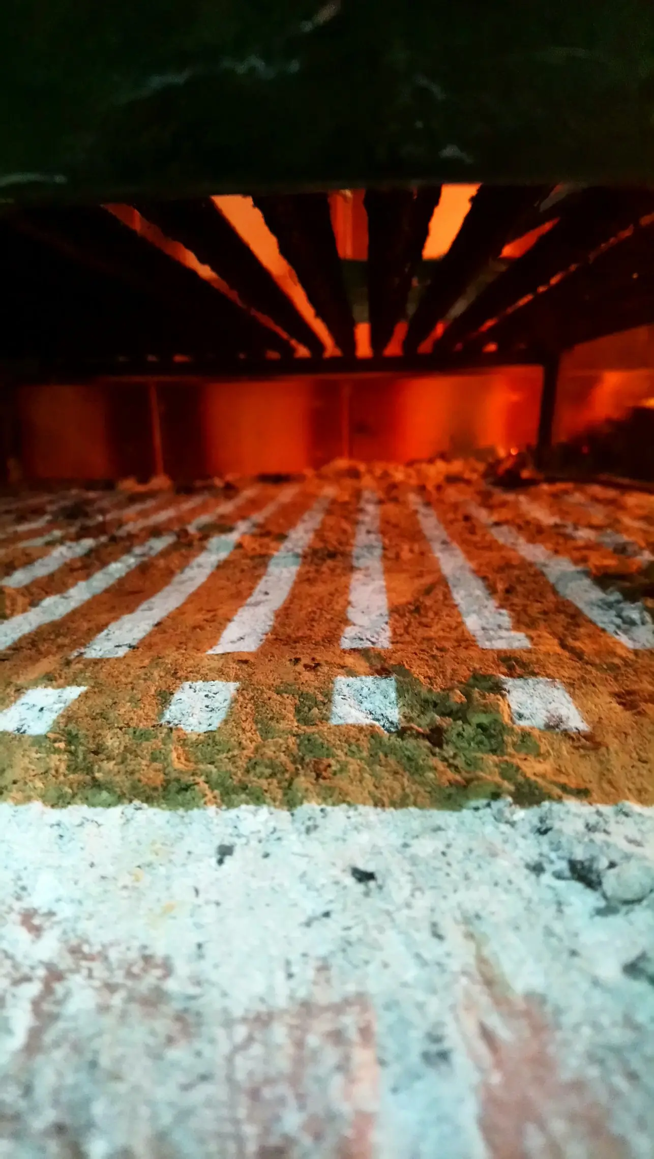 Le hice un asado a mi mama y te lo muestro