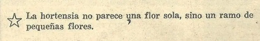 Cupcakes o magdalenas de limón con chocolate