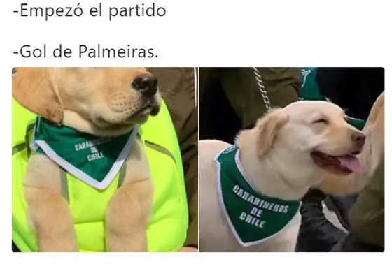 futbol