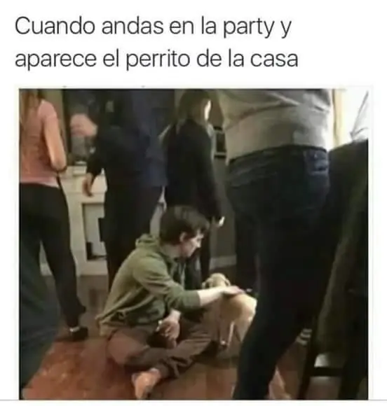 Memes que te harán feliz.