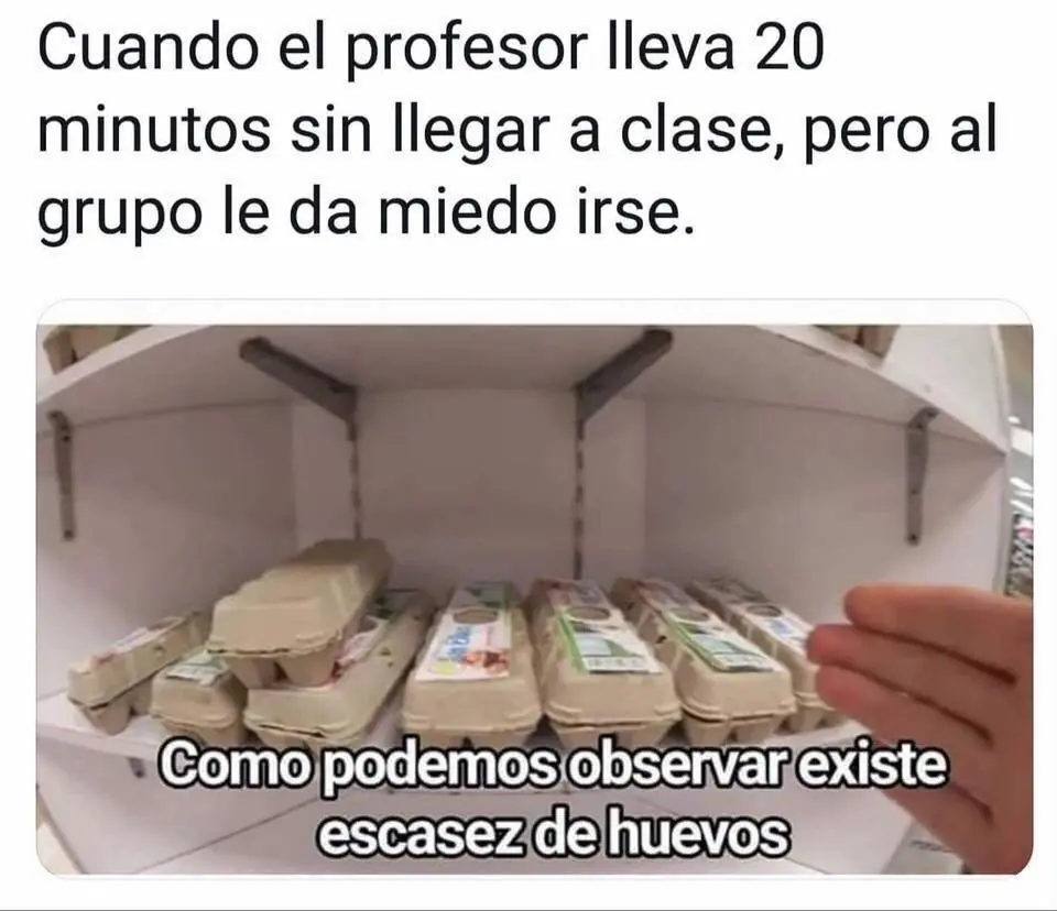 MEMES