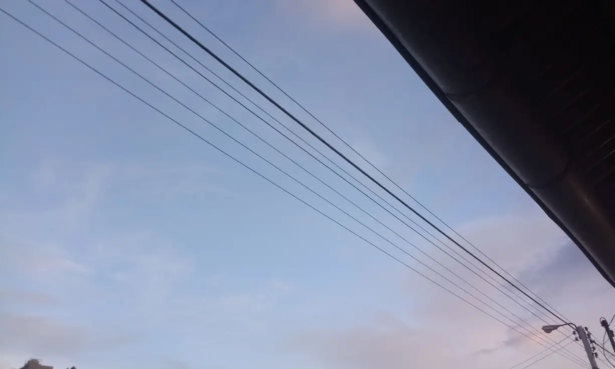 pollo