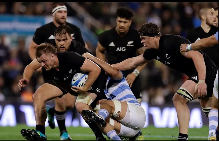 pumas