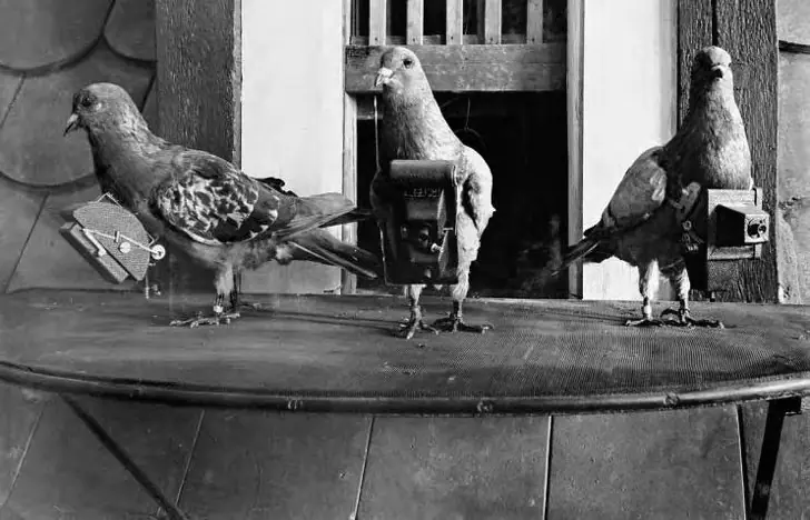 18 Fotos históricas que te dejarán atónito