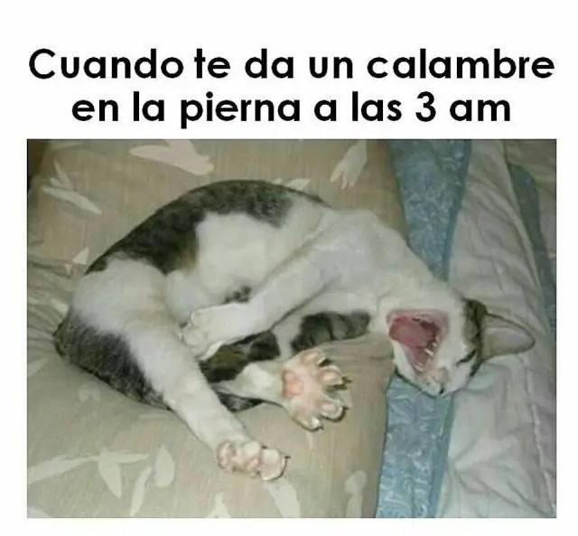 Humor negativo o ries o ries