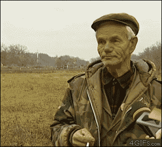gifs