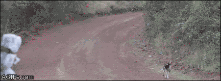 Gifs y mis comentarios vers. 98