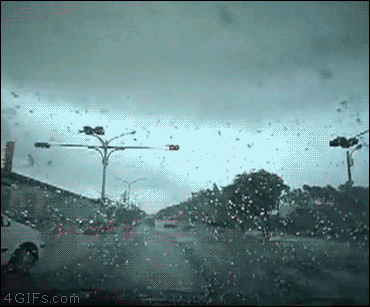 gifs