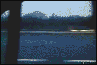 gifs