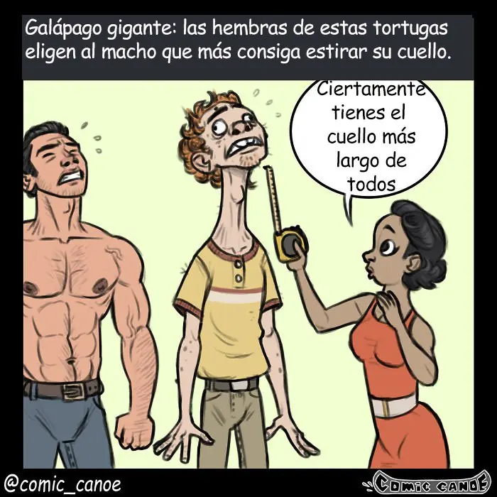 animales