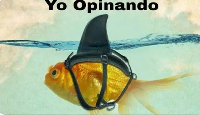 Humor enérgico: el mejor humor para hoy martes...