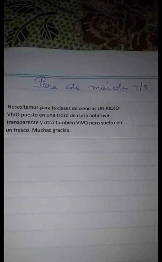 Humor enérgico: el mejor humor para hoy martes...