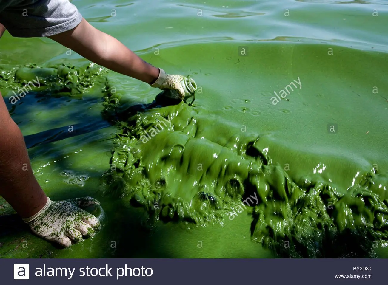 contaminacion