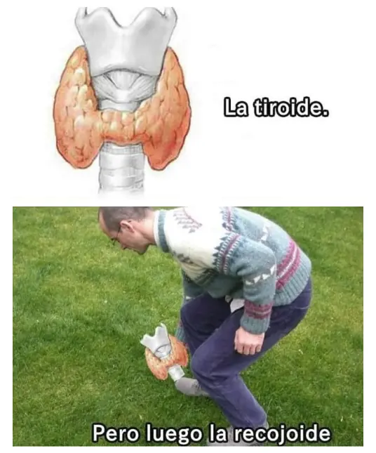 comenzar
