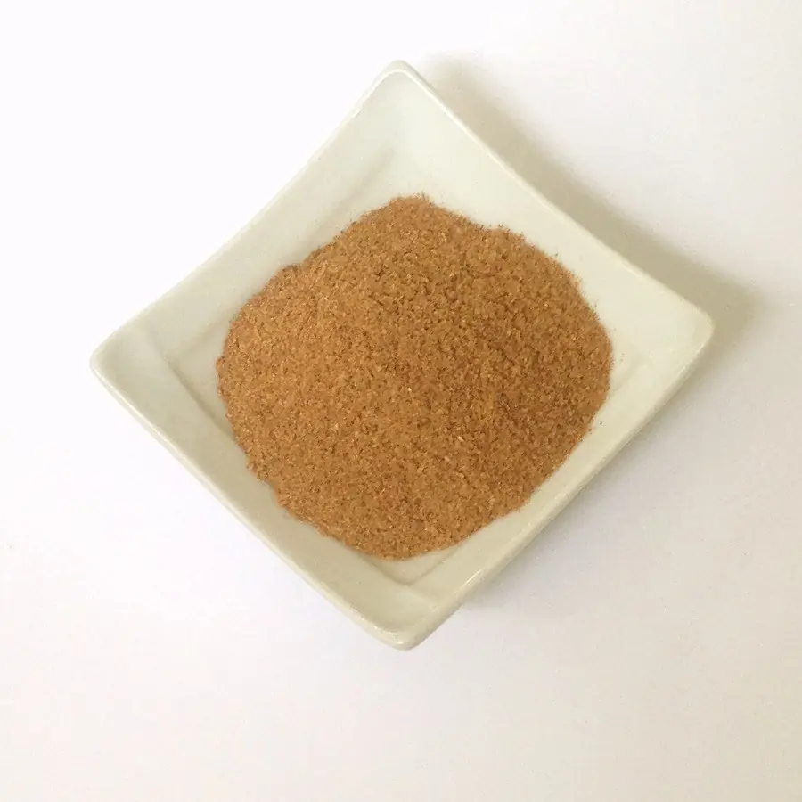 Arrepentido de profanar tu cuerpo? Quita de ti la vergüenza