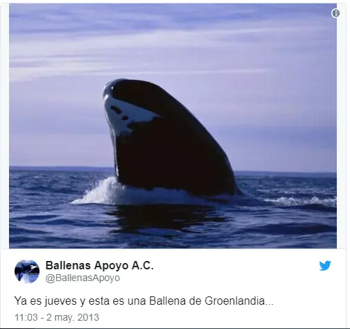pues