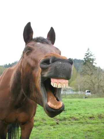 Supersticiones japonesas