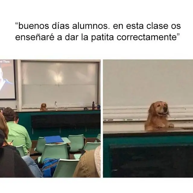 serenata777