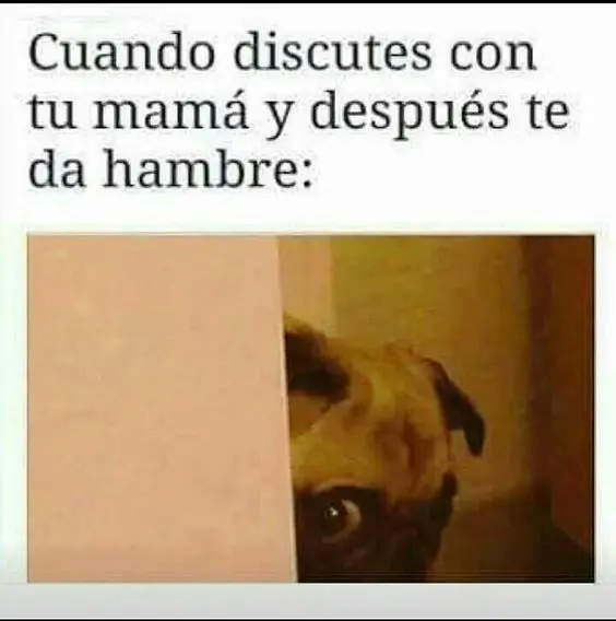 humor