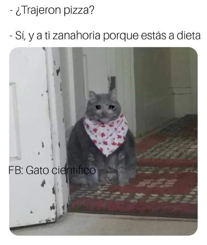 risas